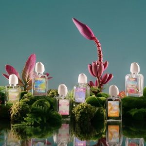 Future society discovery set